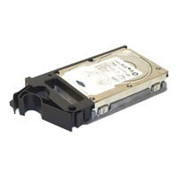 Origin storage  300GB 10000rpm PE *900/R Series 3.5  SAS (DELL-300SAS/10-S6)